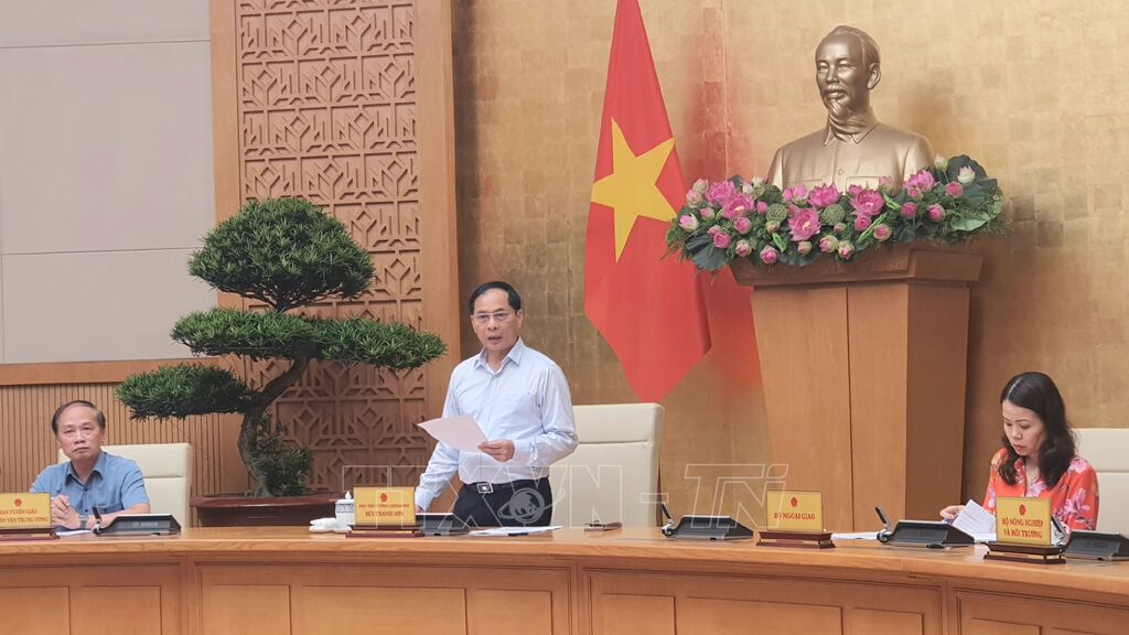 Phó Thủ tướng Bùi Thanh Sơn: Khẳng định vai trò điều phối, dẫn dắt và tổ chức của Việt Nam trong việc đề cao chủ nghĩa đa phương, đoàn kết quốc tế